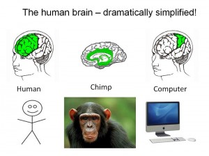 braincomputermonkeyhuman