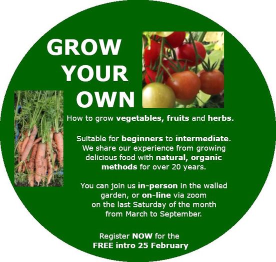 grow your ow food