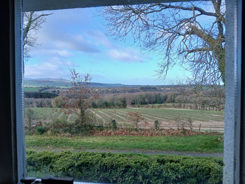 The view from the cottage window of the rolling hills and Mount Leinster